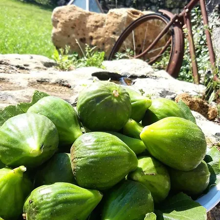 Giardini Di Marzo * Felline